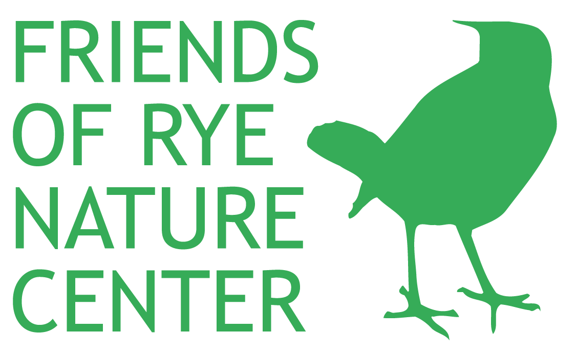 RNC 2017 Logo-01